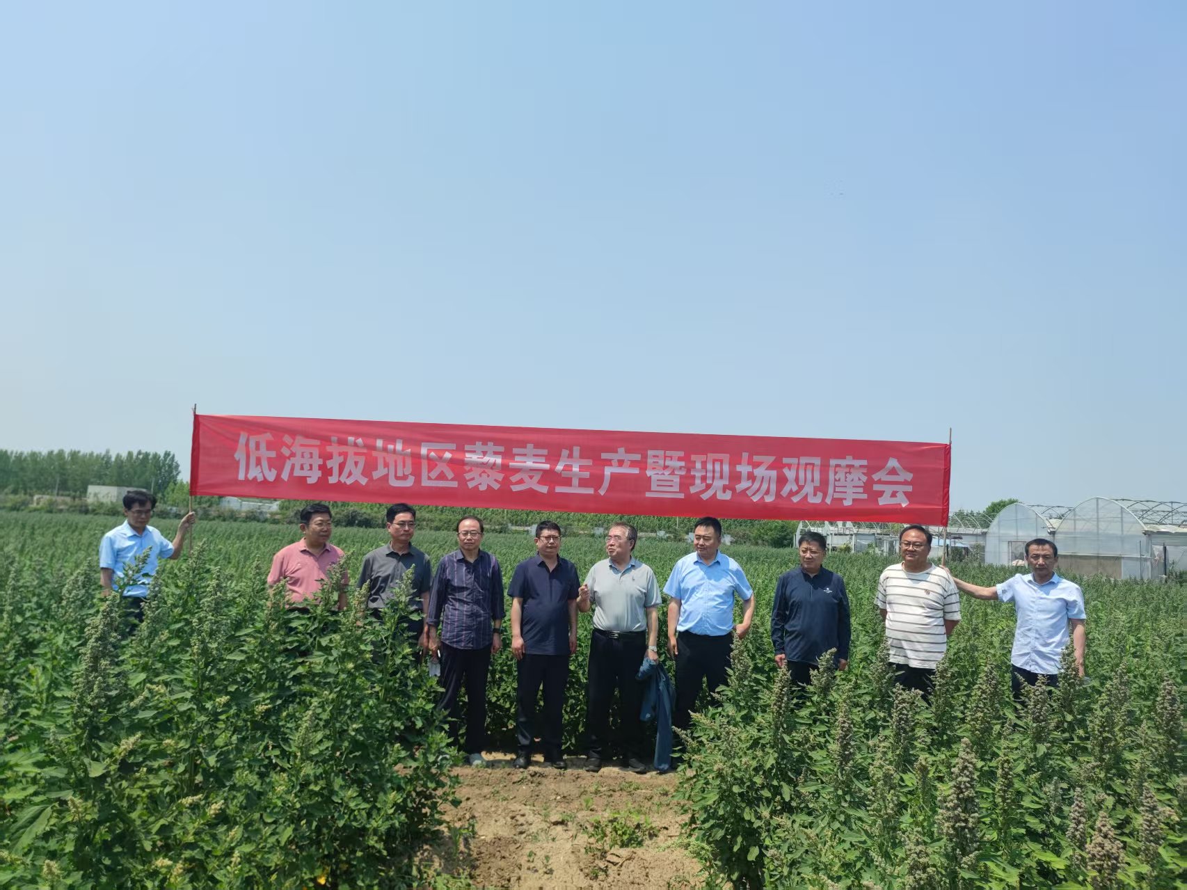 山东省老科协专家工作站落户“丽麦香”，助力藜麦产业高质量发展