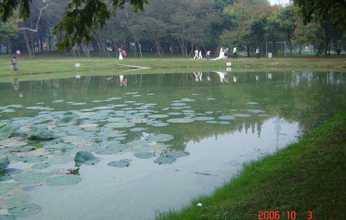 中山公园湖水映新人