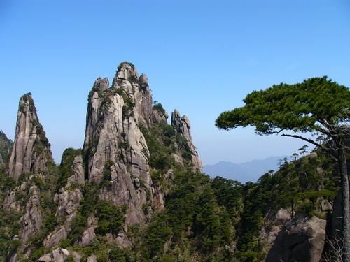 仙石奇松  摄于江西三清山