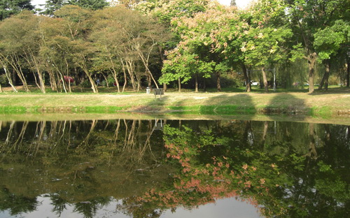 幽静的中山公园