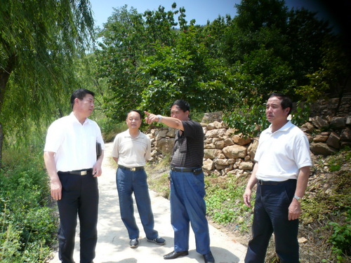 4、 程友新会长在崂山王哥庄西台社区考察扁桃种苗基地