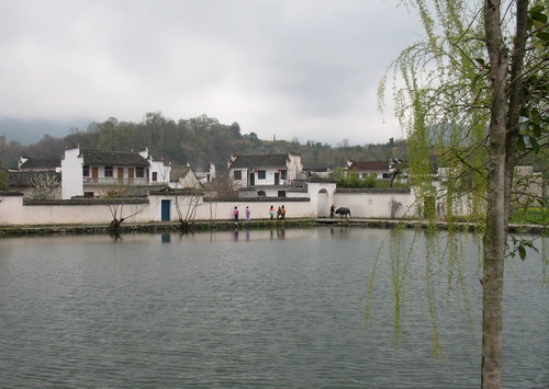 晚归      摄于安徽宏村