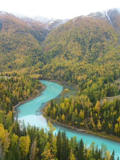 图片点击可在新窗口打开查看