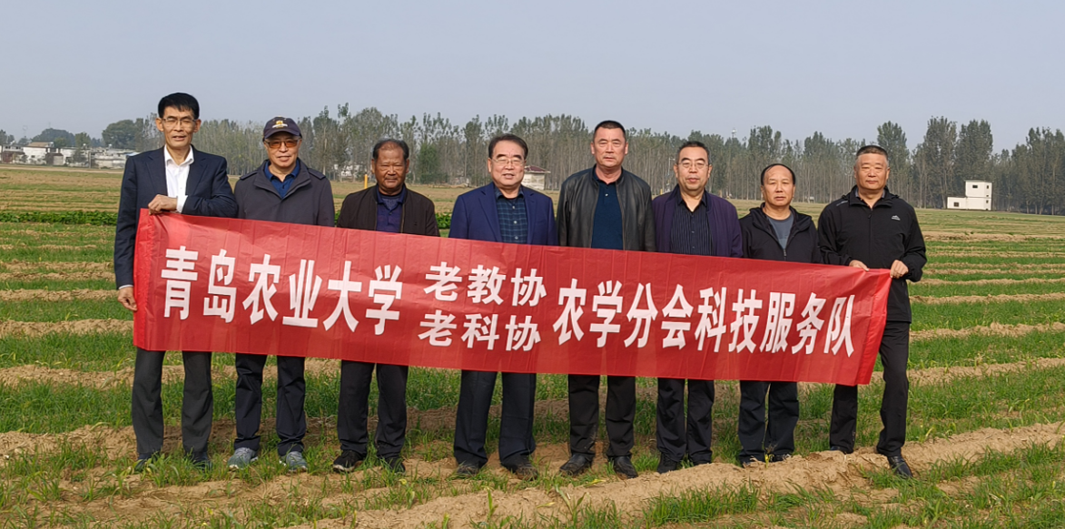 青岛农业大学老科协   银发力量 干劲十足